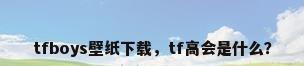 tfboys壁纸下载，tf高会是什么？