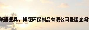 纸塑餐具，博冠环保制品有限公司是国企吗？