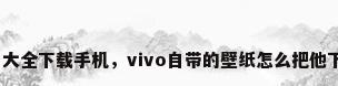 壁纸图片大全下载手机，vivo自带的壁纸怎么把他下载下来？