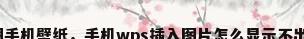 插图手机壁纸，手机wps插入图片怎么显示不出来？