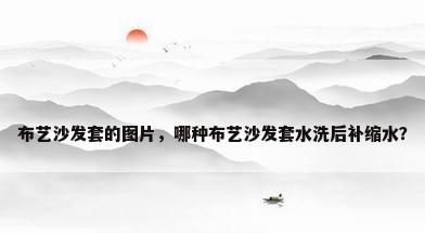 布艺沙发套的图片，哪种布艺沙发套水洗后补缩水？