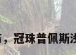 客厅灰色大理石，冠珠普佩斯浅灰适合客厅吗？