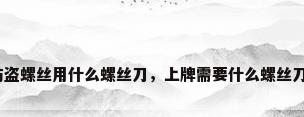 防盗螺丝用什么螺丝刀，上牌需要什么螺丝刀？