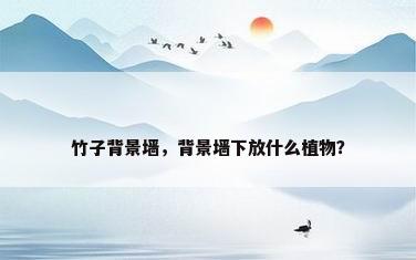 竹子背景墙，背景墙下放什么植物？