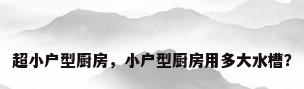 超小户型厨房，小户型厨房用多大水槽？