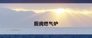 厨房燃气炉