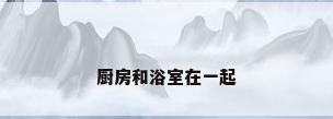 厨房和浴室在一起