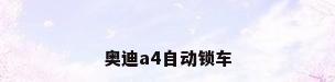 奥迪a4自动锁车