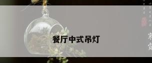 餐厅中式吊灯