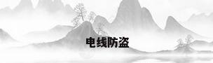 电线防盗