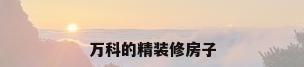 万科的精装修房子
