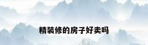 精装修的房子好卖吗