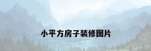 小平方房子装修图片
