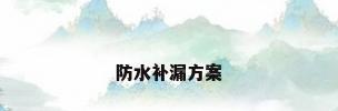 防水补漏方案