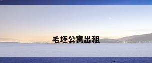 毛坯公寓出租