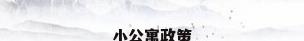 小公寓政策