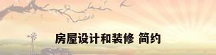 房屋设计和装修 简约