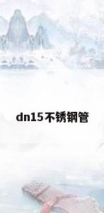 dn15不锈钢管