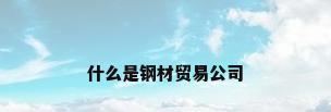 什么是钢材贸易公司