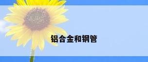 铝合金和钢管