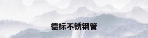 德标不锈钢管
