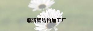 临沂钢结构加工厂