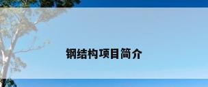 钢结构项目简介