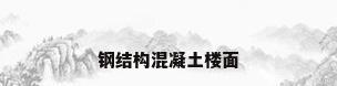 钢结构混凝土楼面