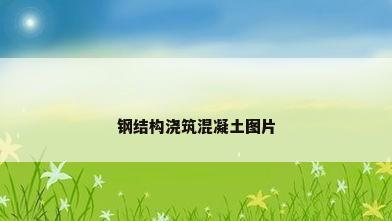 钢结构浇筑混凝土图片