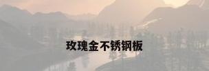 玫瑰金不锈钢板