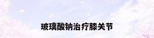 玻璃酸钠治疗膝关节