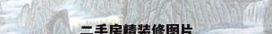二手房精装修图片