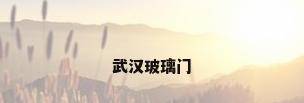 武汉玻璃门