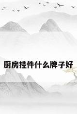厨房挂件什么牌子好