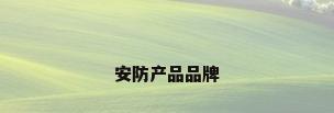 安防产品品牌