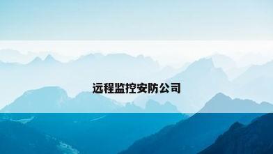 远程监控安防公司
