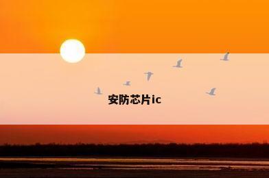 安防芯片ic