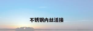 不锈钢内丝活接