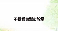 不锈钢微型齿轮泵