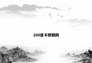 200目不锈钢网