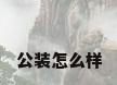 公装怎么样