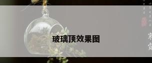 玻璃顶效果图