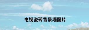 电视瓷砖背景墙图片