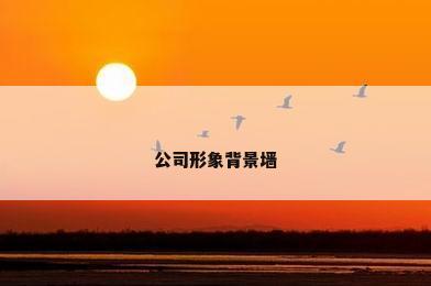 公司形象背景墙