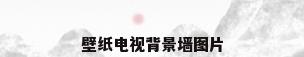 壁纸电视背景墙图片
