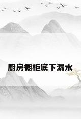 厨房橱柜底下漏水