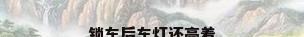 锁车后车灯还亮着