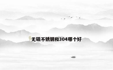 无磁不锈钢和304哪个好