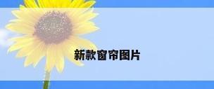新款窗帘图片