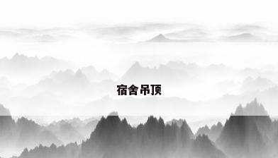 宿舍吊顶